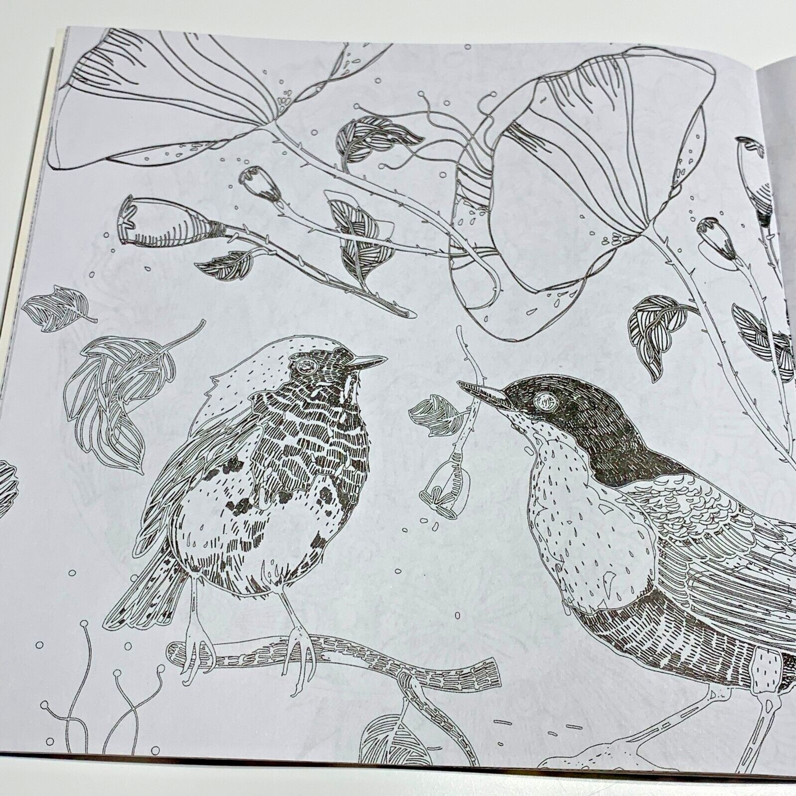 Picture 5 of 7