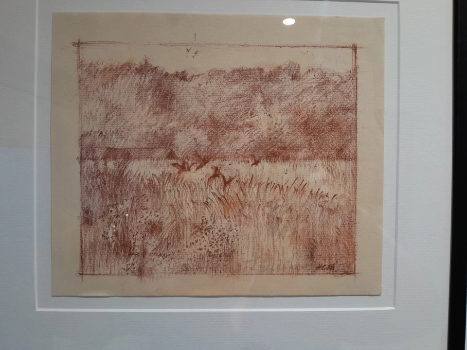 Dibujo a lápiz original Harold Cohen Foto 2 de 4