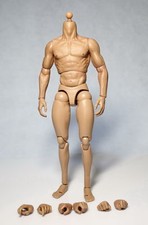 Cuerpo muscular masculino escala 1/6 ZC Toys apto para cabeza esculpida Hot Toys de 12"