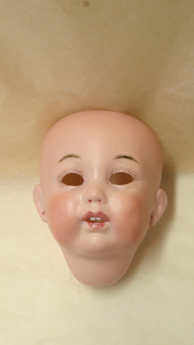 Tête seule : reproduction de Bruno SCHMIDT Taille 2