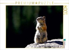 CALVENDO Puzzle Chipmunk 1000 Teile Puzzle quer | 1000 Teile Lege-Gr&ouml;&szlig;e 64x48cm