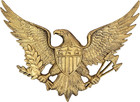 Linton Arst Cast Iron American Eagle Wall Decor, 3.79lb Vintage Gold Eagle