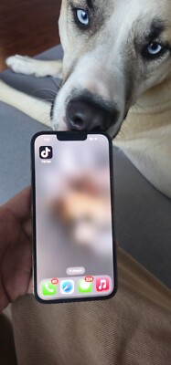 Apple iPhone 13 Pro Max - 256 GB - Green (Unlocked) Tiktok 