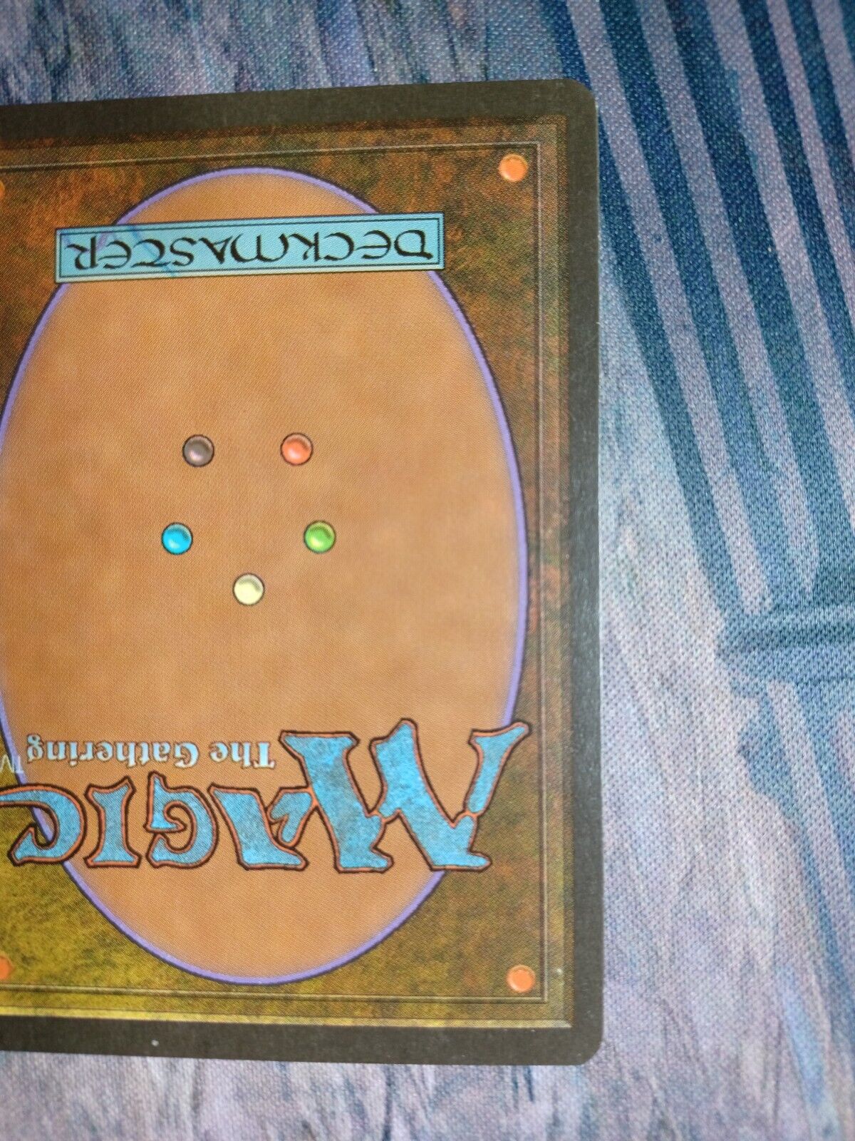 Picture 7 of 7