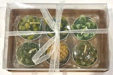 Mini Succulent Tea Light Candles Cactus Plants Set of 6 New in Gift Box
