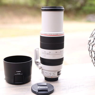 Canon EF 100-400mm F/4.5-5.6L IS II USM (Canon EF mount