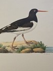 Foto 6 di 6