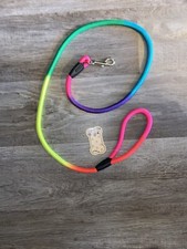 Rainbow dog leash