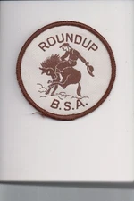 BSA Roundup patch (Screen)