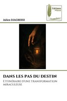 Julien Djagbessi | Dans Les Pas Du Destin | Taschenbuch | FranzöSisch (2025)