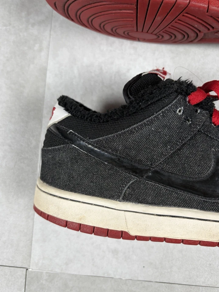 Nike SB Dunk Low Premium, photo 2 sur 5