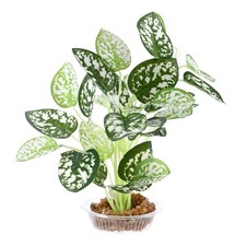 1-Pack Aquarium Plants, Plastic Fish Tank Decorations Style 6, White 