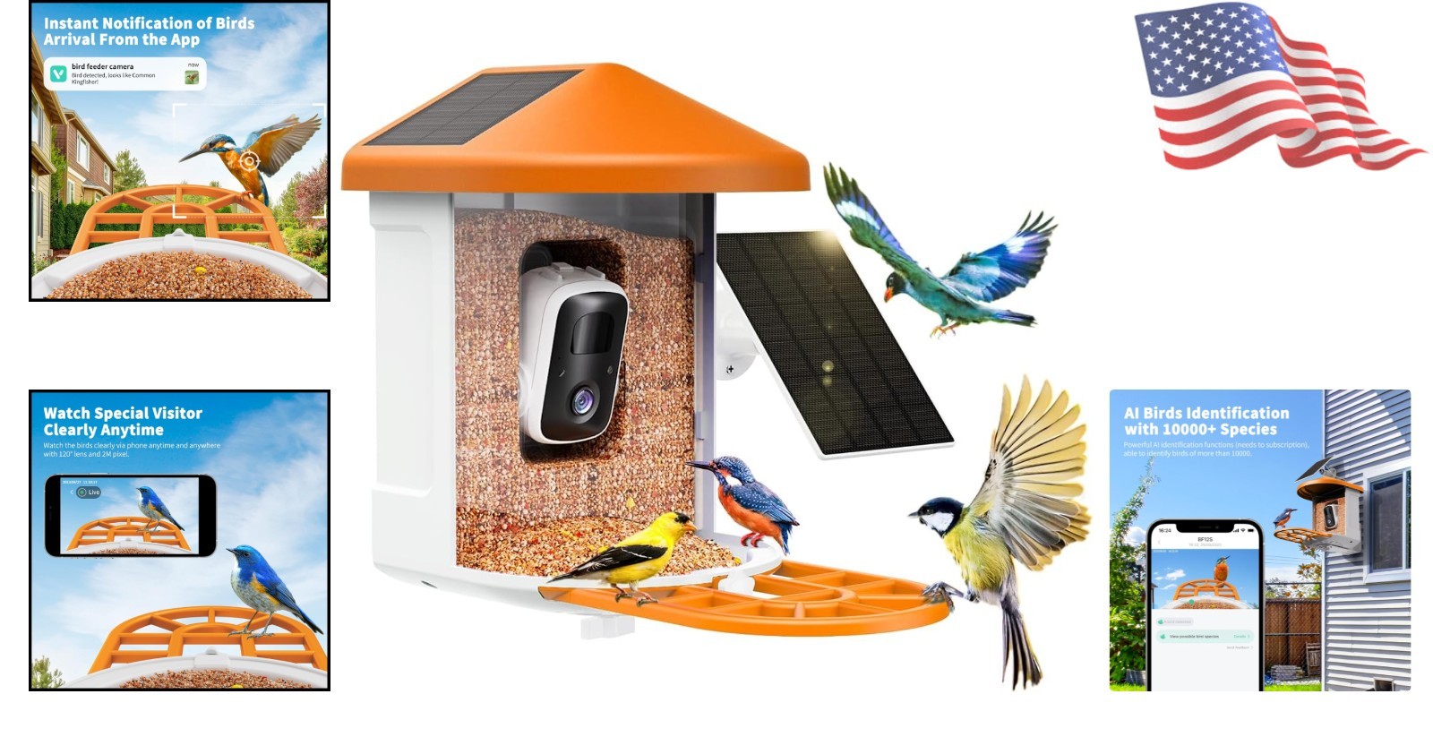 Smart Bird Feeder with Camera: AI Identification & Night Vision for Bird Lovers