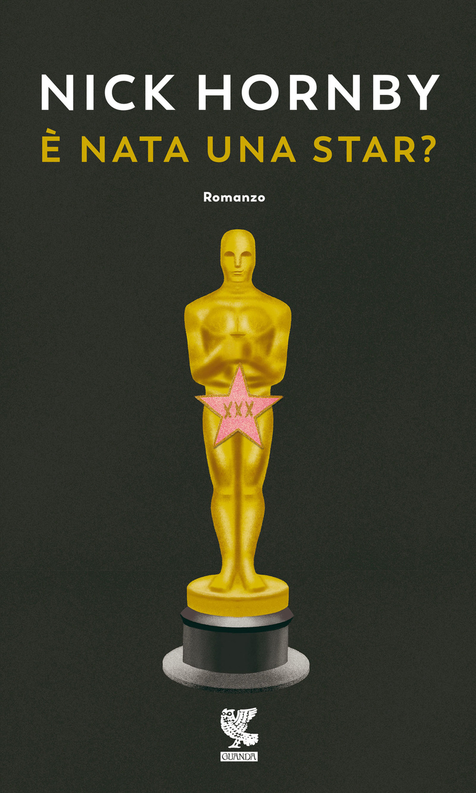 È nata una star? - Hornby Nick