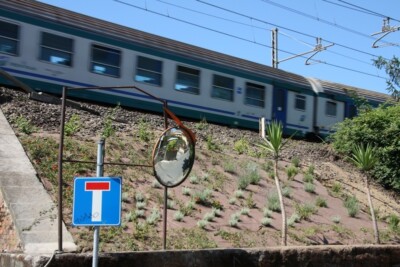 Tessuto Pacciamante Hoasi Terra BARBIFLEX - Foto 2