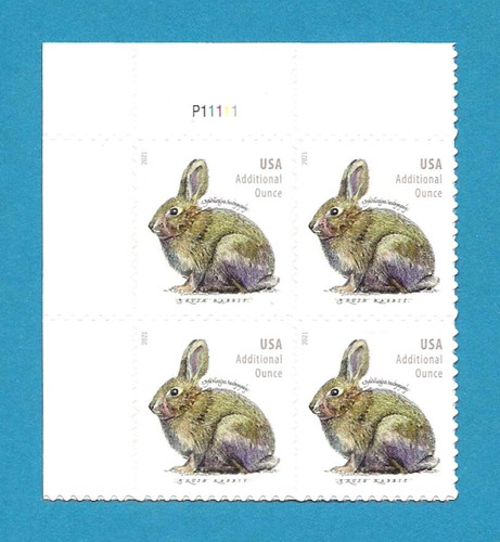 us-2021-scott-5544-mnh-plate-block-brush-rabbit-additional-ounce