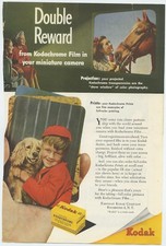 Kodak Cocker Spaniel Horse Kodak Prints Trans...