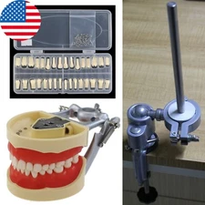 Kilgore Nissin 200 Type Dental Typodont Model 32PCS Teeth Mounting Pole Screw-in