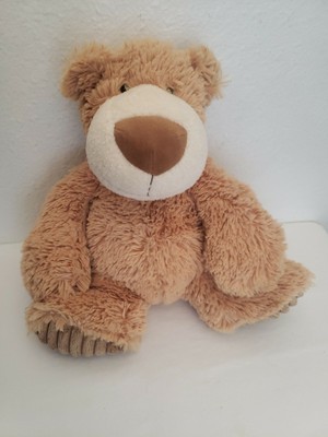 bichon crossed with shih tzu