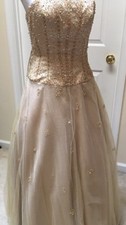 Champagne Ball Gown Size 2