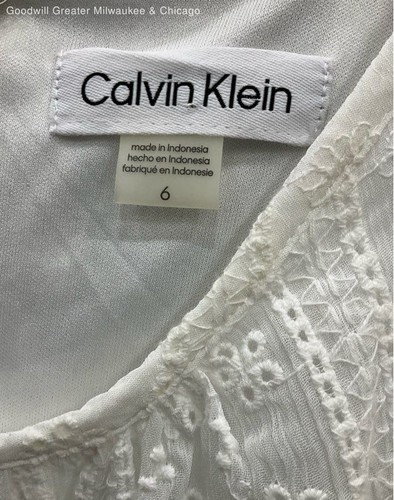 NWT Calvin Klein Women 6 Ivory Dress