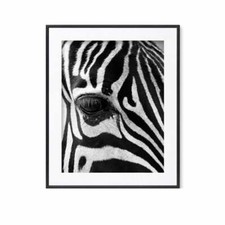 Bild Poster Kunstdruck Druck Dekoration A4 Geschenkidee Tiere Zebra Wandbild 