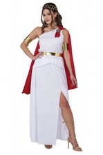 Brand New Roman Beauty Toga Adult Costume