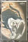 Amazing Spider-Man #92 1:25 Peach Momoko Stormbreakers Variant