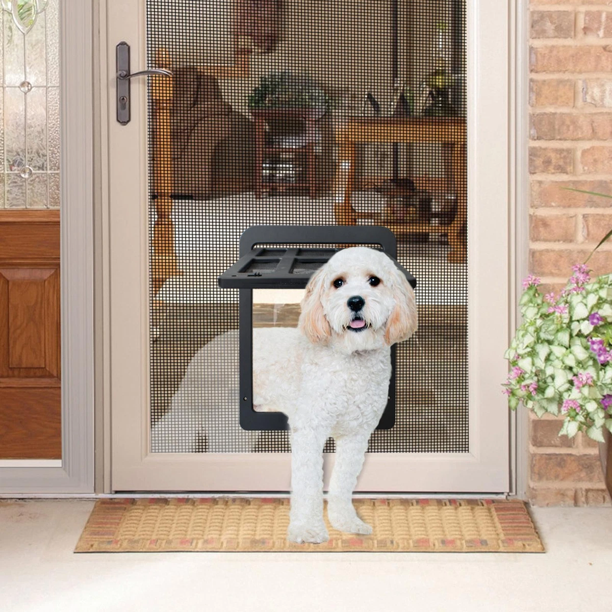 Locking on sale dog door
