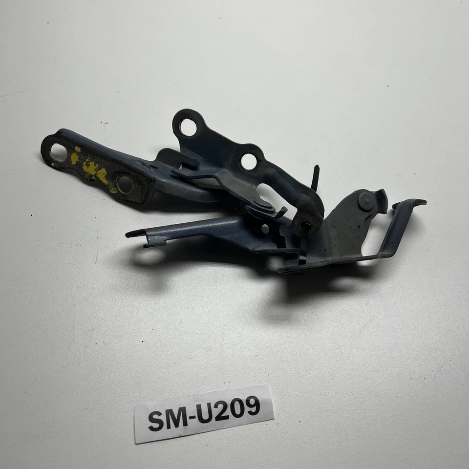 2003 Toyota Matrix XR One Set  Hood Hinge Blue OEM Foto 2 de 4