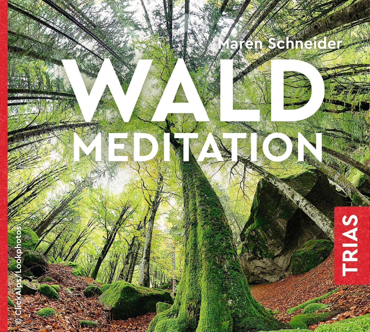 Thumbnail - Waldmeditation Maren Schneider