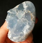 Bild 8 von 12