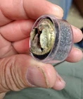 Civil War (1861-65) C.S. Droop Wing Eagle Button Dug Condition Needs Repair