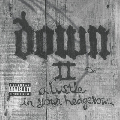 Down II by Down (CD, 2023)