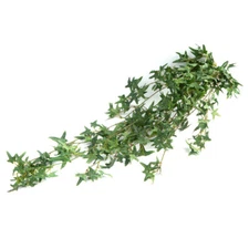 Set of 2 Factory Direct Craft Artificial English Ivy 36" Floral Bushes