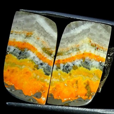 21.30Cts Natural Bumble Bee Jasper Pair Fancy Cabochon Gemstone 11X21X4MM