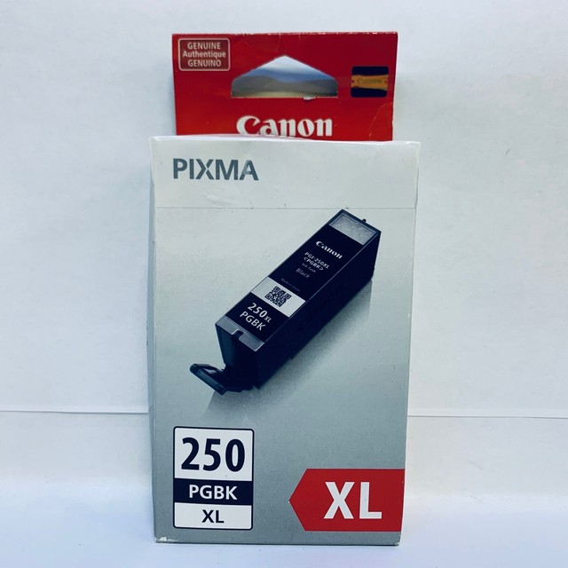 Genuine Canon Pixma 250xl 250 Pgbk Xl Black Ink Cartridge For Sale Online Ebay