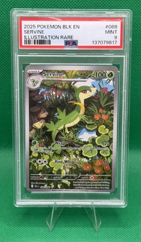 Pokémon TCG Servine Illustration Rare 88/86 SV Black Bolt PSA 9 MINT 🍃