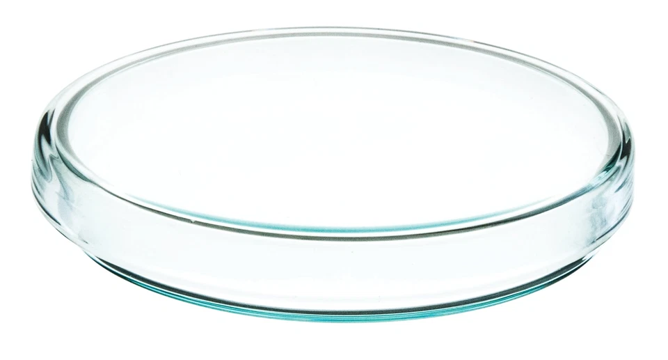 Eisco Labs Petri Dish, 100mm Diameter, 15mm Depth - Soda Lime Glass