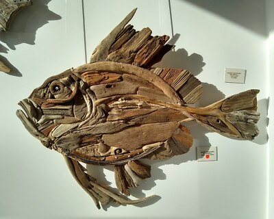 Foto 6x4 Wee John Dory Ein fantastischer John Dory Fisch Zeus Faber gebaut um 2019