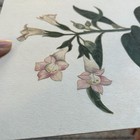 Bild 2 von 4