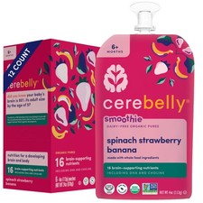 Cerebelly Baby Food Pouches   Organic Dairy Free Smoothies for Toddlers  No