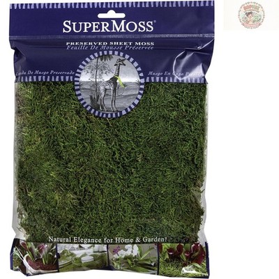 Beautifully Preserved Fresh Green Moss - 8oz Sheets for Classy Arrangements