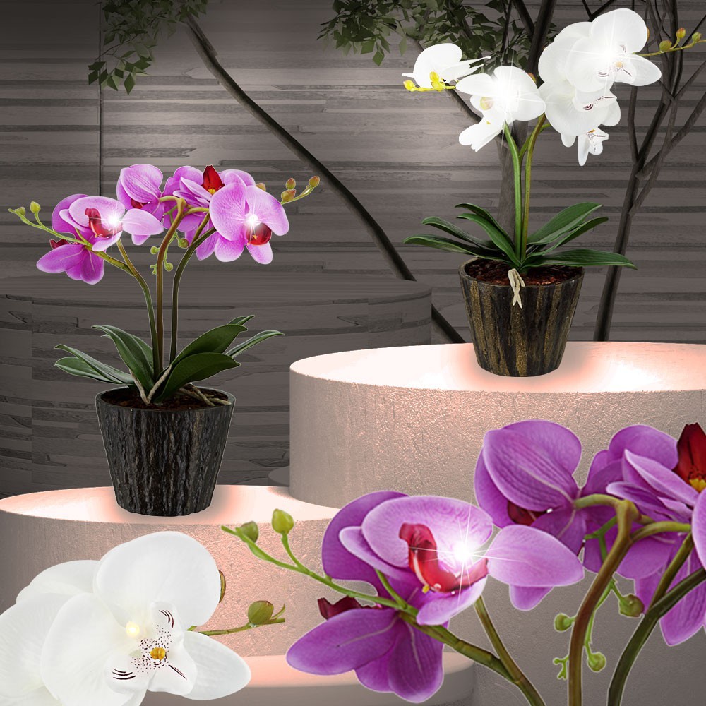 3d-sticker pour cartes-hochzeitsdeko rouge-blanc coeurs 8 St Toppers Global Poison
