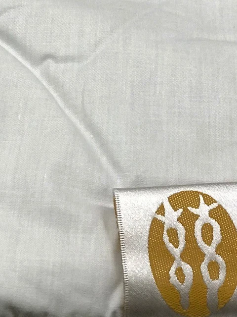 Silk Filled Mattress Pad
Opens in a new window or tab