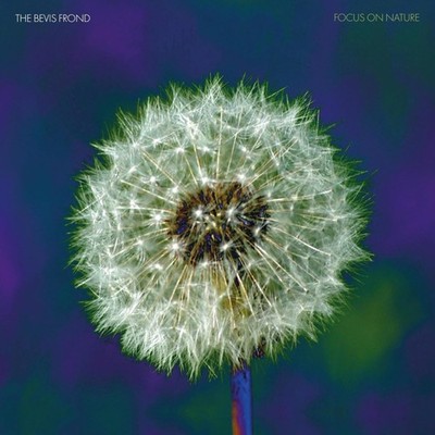 Audio Cd Bevis Frond (The) - Focus On Nature