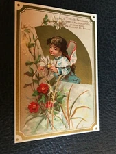 1800's Sam'l Shallcross Brunette Bonnet Girl Picks Daisy Victorian Trade Card 