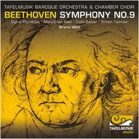 Beethoven / Plundric - Symphony No. 9 - Cd - G3Z