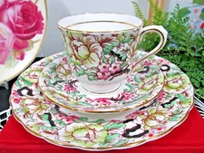 C & E VICTORIA Tea cup and saucer trio painted chintz Peony teacup set England