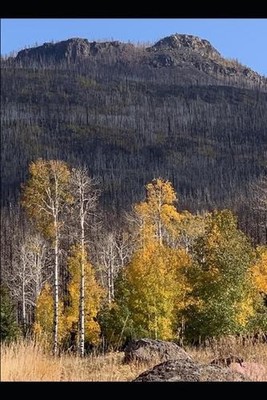 A Dozen Poems Each: for Half-a-Dozen Dates from Three Weeks in Early Autumn by M